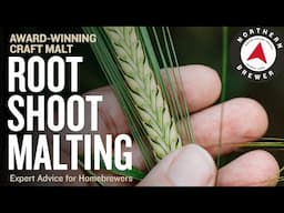 World-Class Craft Malt for Homebrewers | Root Shoot Malting