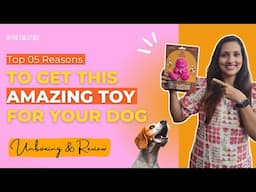 AMAZING DOG TOYS | Best Toy For Your Dog | Dog Treats & Toys | The Tails Tale