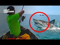 Deadliest Shark Encounters Caught on Camera