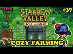 Grinding More in Stardew Valley Expanded 1.6 - Cozy Stardew Valley Modded [37]