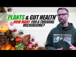 AND THE 4 P'S OF GUT HEALING -  For A Better Microbiome?