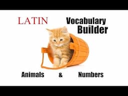 Latin Vocabulary Builder #1 - Animals & Numbers - Latin Lessons for Beginners - Latin 101