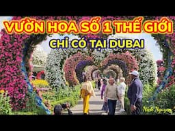 XUẤT HÀNH ĐẦU NĂM THAM QUAN VƯỜN HOA DIỆU KỲ LỚN NHẤT THẾ GIỚI - MIRACLE GARDEN DUBAI || Nick Nguyen