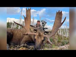 Archery Hunting for Moose in Newfoundland | Canada in the Rough