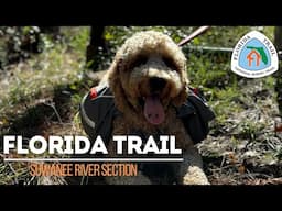 Freezing Weather Day 2 - Florida Trail - Suwanee River Section