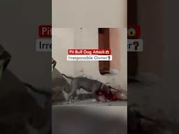 Pit Bill Dog Attack 😱 - Irresponsible Owner❓