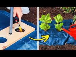 101 DIY Gardening Hacks and Tips to Maximize Space. Plant Ultimate Outdoor Oasis