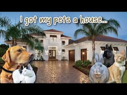 I got a House for my 5 Pets | Empty House Tour