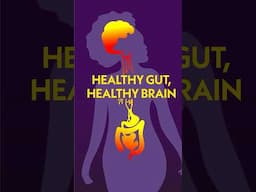 How Your Gut Is Connected To Your Brain