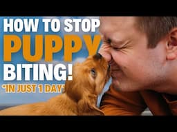 How To STOP Puppy Biting In 1 Day EVERY TIME