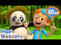 Blippi hangs out with Bai the panda | Blippi Wonders Educational Videos for Kids