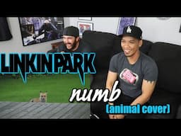 Linkin Park - Numb (Animal Cover) - REACTION