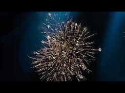 Fireworks | Engro | Sports Week | Colours | Show