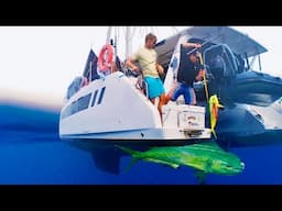 Living on our Boat in Bonaire! Catching Mahi and Freediving inside Underground Caves.