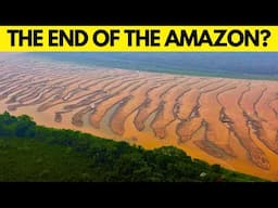 The Amazon River Is DYING & A Terrifying Crisis Is Unfolding!