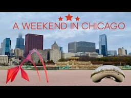 A Weekend in Chicago