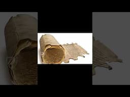 The Dead Sea Scrolls| Incredible Evidence of Bible Accuracy | Unveiling History's Greatest Discovery