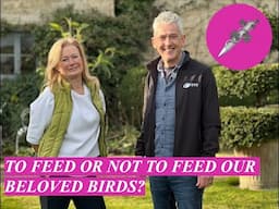 TO FEED OR NOT TO FEED OUR BELOVED BIRDS?