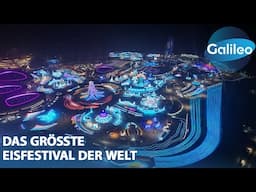 Ein Märchenland ganz in Weiß: Das größte Eisfestival der Welt