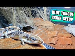 HUGE Naturalistic Blue Tongue Skink Enclosure Setup!