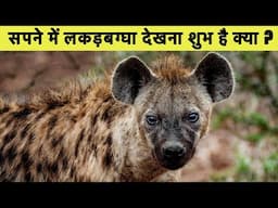 सपने में लकड़बग्घा देखना: क्या यह अशुभ है? | Hyena Dreams