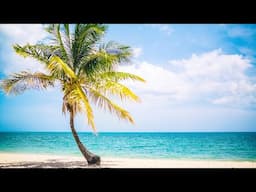 Relaxing Jazz Music at Beach Island Ambience 🌴 Positive Bossa Nova Music & Ocean Waves for Uplifting