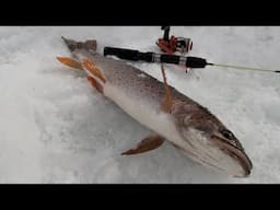 Ice Fishing Adventure: Catching Big Cutthroat Trout at Strawberry Reservoir