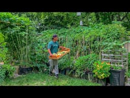 Yes! it's possible to grow enough food for the family with just 2 garden beds, here's how we did it!