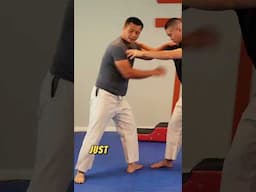 Knee Kicks #fightingtechniques #shorinryukarate #martialartstraining