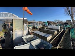 Year round allotment tour ~ late January ~ bleak but not for long!