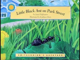 Little Black Ant On Park Street Read Aloud