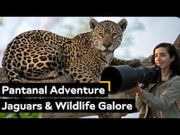 Exploring the Pantanal: Home of Jaguars, Caimans & the World’s Largest Wetland