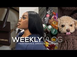 WEEKLY VLOG | MAINTENANCE WEEK, ERRANDS & SURPRISE | ASHLEY SINARI