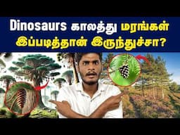 Dinosaurs காலத்து மரங்கள் இப்படித்தான் இருந்துச்சு!? | Plants evolution before & after Dinosaurs era