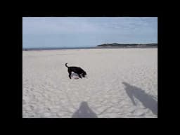 Inga at Carmel Beach