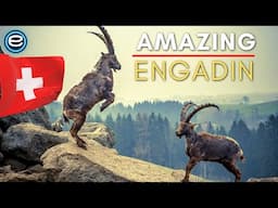 Engadin - Switzerland's Wilderness | Full Nature Documentary