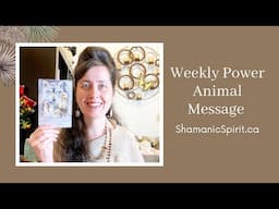 Dec 14-20, 2024: Weekly Power Animal Message And Crystal Healing Talisman. Dog symbolism