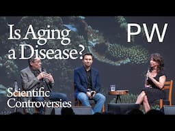 Can Aging Be Cured? A Conversation With Biologists David Sinclair and Ali Brivanlou