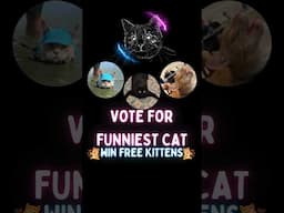 America's funniest cats! Vote now 🤣😹 #cat #funny #funnycatvideos