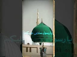 يا حبيبي يا محمد يا نبي سلام عليک 🕋🕋💖🇵🇰🇸🇦🌹❤️🌟🫶🕌 #viralvideo #islamicvideo #viralshort #love #prophet