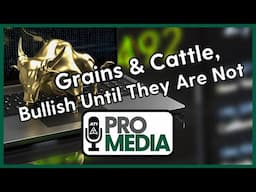 Grains & Cattle, Bullish Until They Are Not