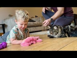 Adorable Kids Surprise The Giant Cats With New Toys! (They’re So Cute!!)