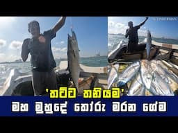 Incredible Seer Fish Haul: A Fisherman's Skill on Display, Sri Lanka I Hook Fishing In Sea,Sri Lanka