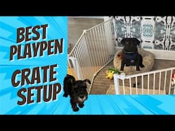 The Perfect Playpen and Crate Solution for Your New Puppy