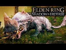 Elden Ring - DLC NPC's VS. Golden Hippopotamus!