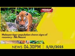 5/02/2025: Malayan tiger population shows signs of recovery - Nik Nazmi -  MALAYSIA TAMIL NEWS