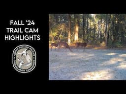 Fall '24 Trail Cam Highlights