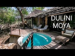 Dulini Moya: Ultra-Luxury SAFARI LODGE Near Kruger Park | AMAZING Game Drive Footage!