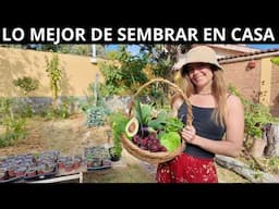 Así es el Huerto Urbano de una Amante de la Agricultura Orgánica 🌿🍅