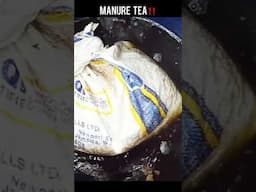 Grow Your Garden Overnight With Manure Tea‼️